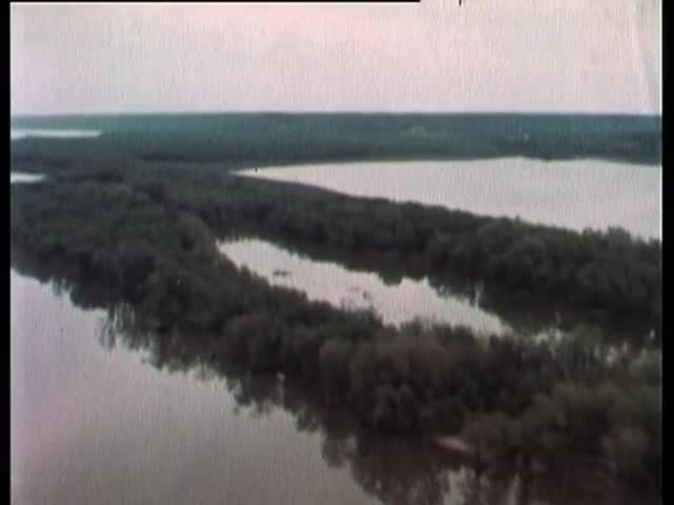 Die Abenteuer von Tom Sawyer und Huckleberry Finn - Intro (Deutsch)