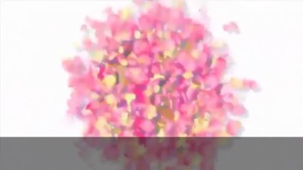 Maid Sama! - Intro (Japanese) HD