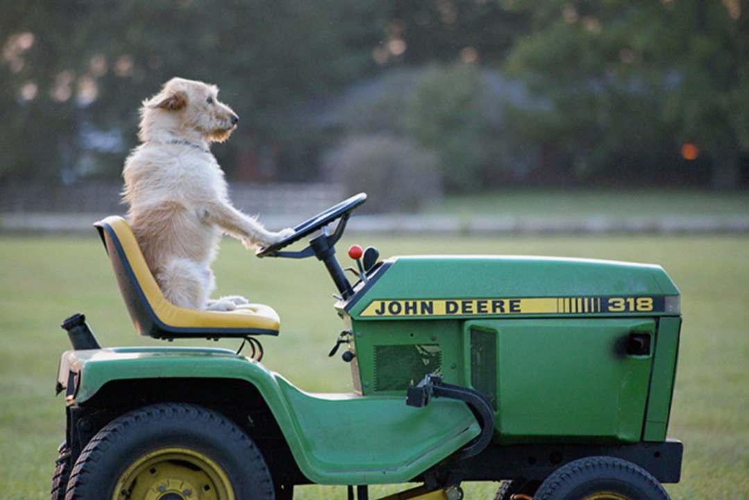 Mein Freund Smitty Ein Sommer voller Abenteuer - Trailer (Deutsch) HD