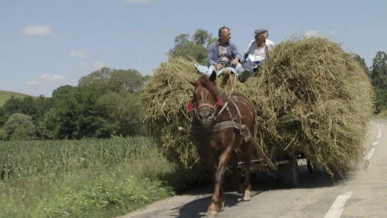 Arbeit macht das Leben sÃ¼ÃŸ Faulheit stÃ¤rkt die Glieder - Trailer (Deutsch) HD