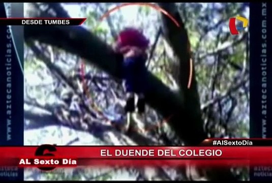 El duende del colegio: La extraña aparición que conmociona Tumbes