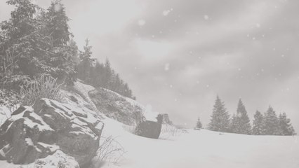 Amy Grant - Tennessee Christmas (Lyric Video)