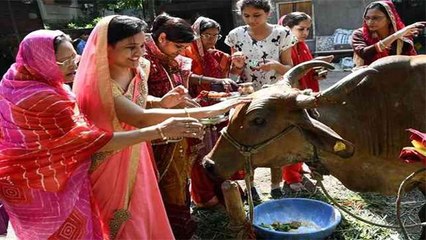 Govatsa Dwadashi 2020 : गोवत्स द्वादशी पूजा विधि । Govatsa Puja Vidhi and Importance । Boldsky