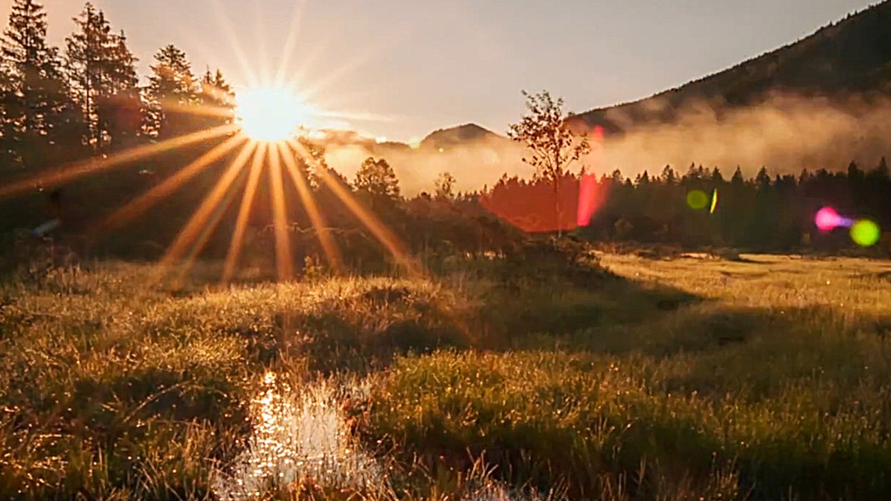 Magie der Moore - Trailer 2 (Deutsch) HD