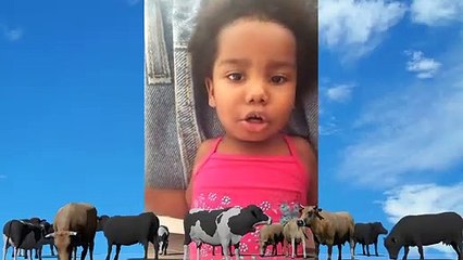 LA VACA LOLA_ LOS POLLITOS_ LOS GORILAS_LA COLITA ES MIA_ CANCIONES INFANTILES