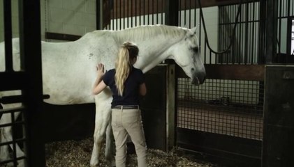 Mein Pferd und ich - Trailer (English) HD