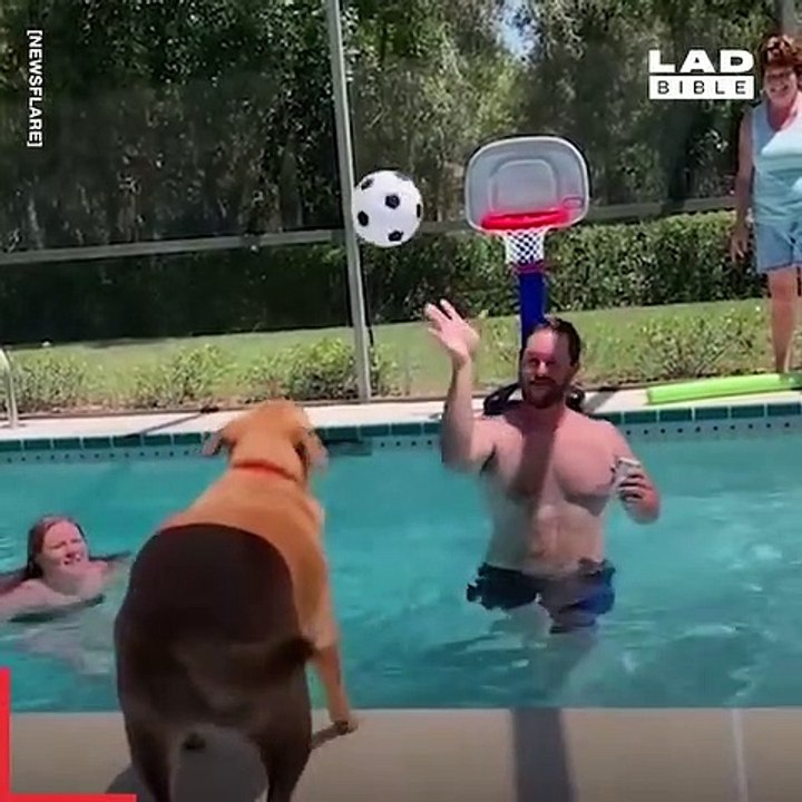 How to live like a Boss 