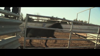 UngezÃ¤hmt - Clip Ben Masters ueber die Route und Idee der Reise (English) HD