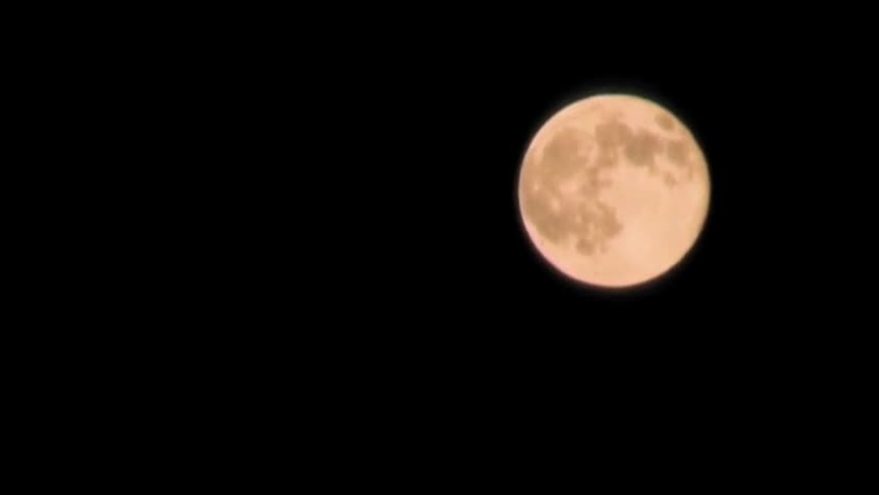 Blutmond Die Nacht der WerwÃ¶lfe - Trailer (Deutsch) HD