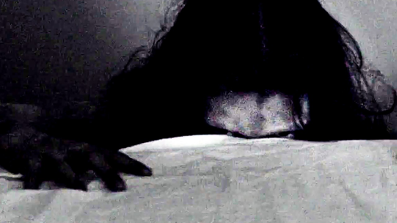 Reclusion - Trailer (English) HD
