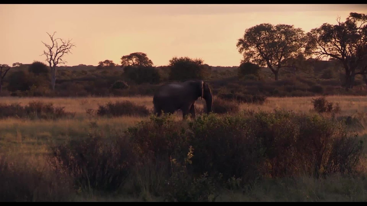 Passion for Planet - Clip 6 (Deutsch) HD