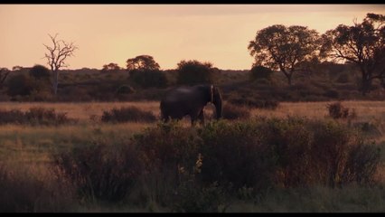 Passion for Planet - Clip 6 (Deutsch) HD