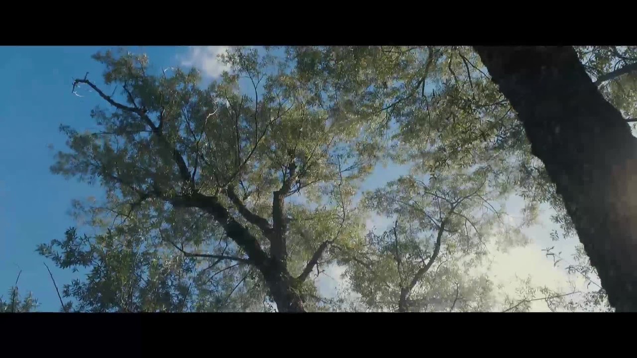 Sebastian und die Feuerretter - Clip Sebastian muss ganz nach oben (Deutsch) HD