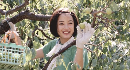 KirschblÃ¼ten und rote Bohnen - Trailer (Deutsch) HD