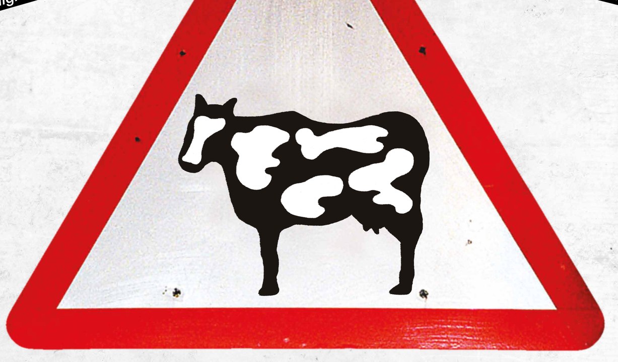 Holy Cow - Trailer (Deutsch) HD