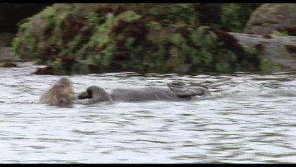 Passion for Planet - Clip 5 (Deutsch) HD