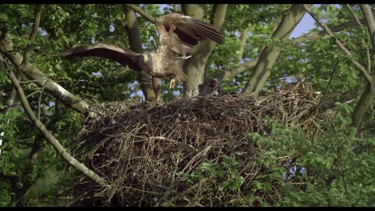 Passion for Planet - Clip 4 (Deutsch) HD