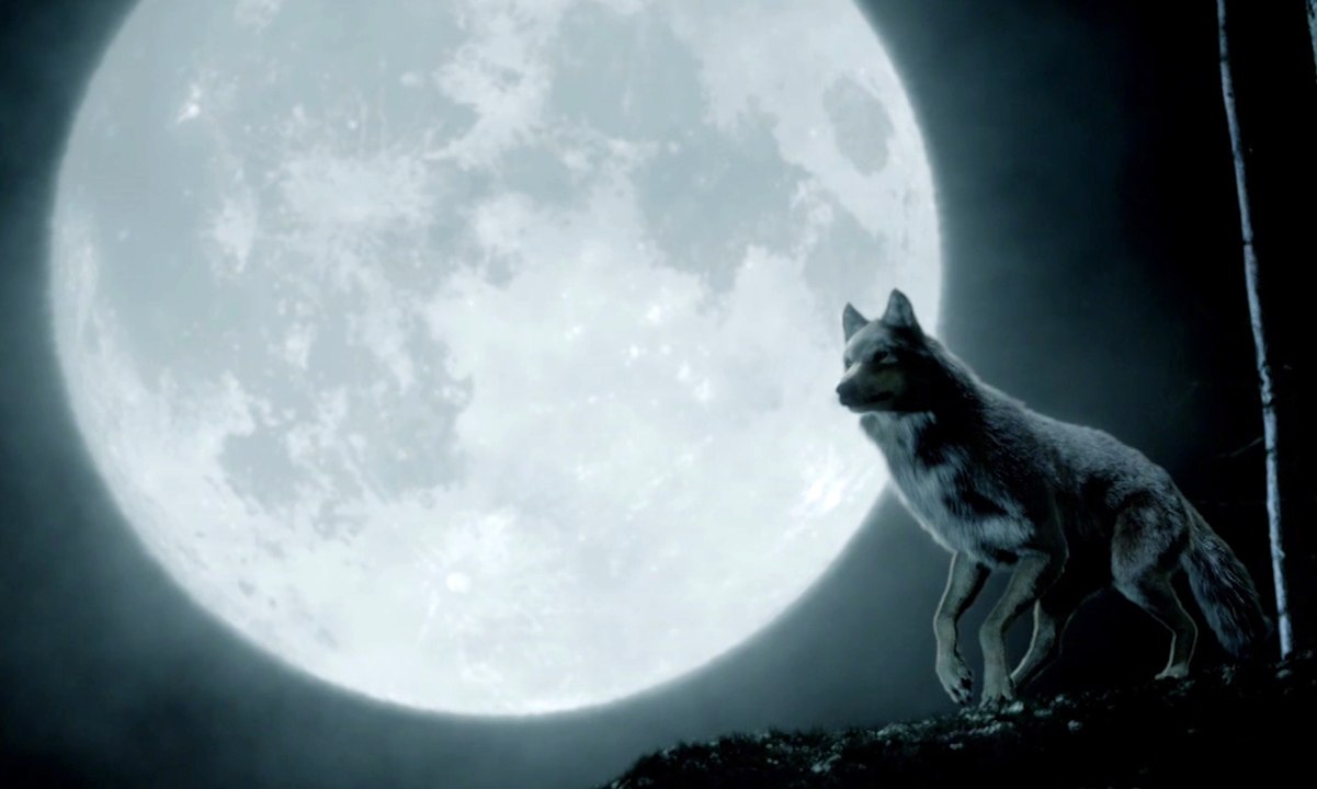 Wolfblood - S03 Trailer (Deutsch) HD