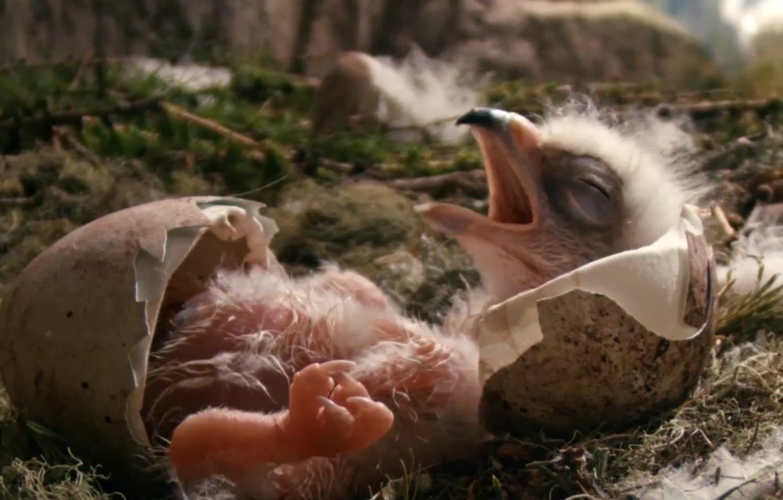 Wie BrÃ¼der im Wind - Trailer 2 (Deutsch) HD