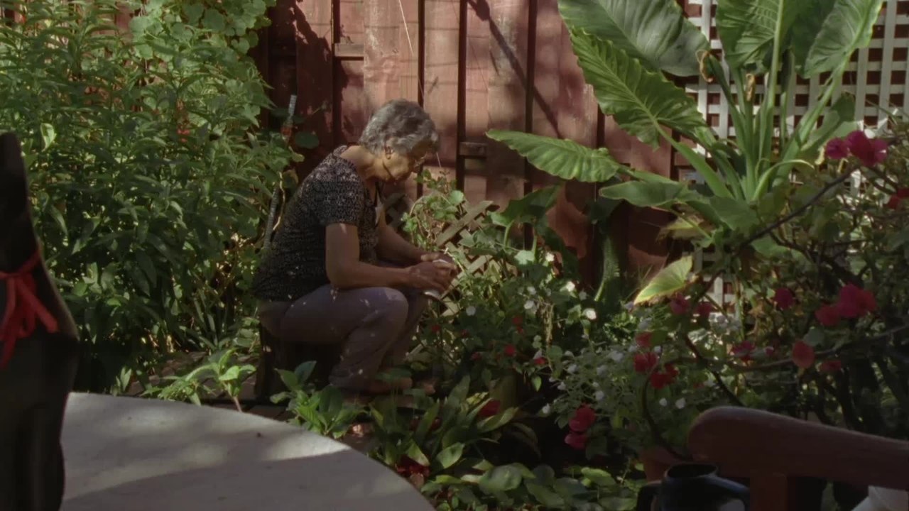 Iraqi Odyssey - Clip RÃ¼ckkehr (Deutsch) HD