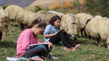 Video herunterladen: Hem koyun güdüyorlar hem ders çalışıyorlar