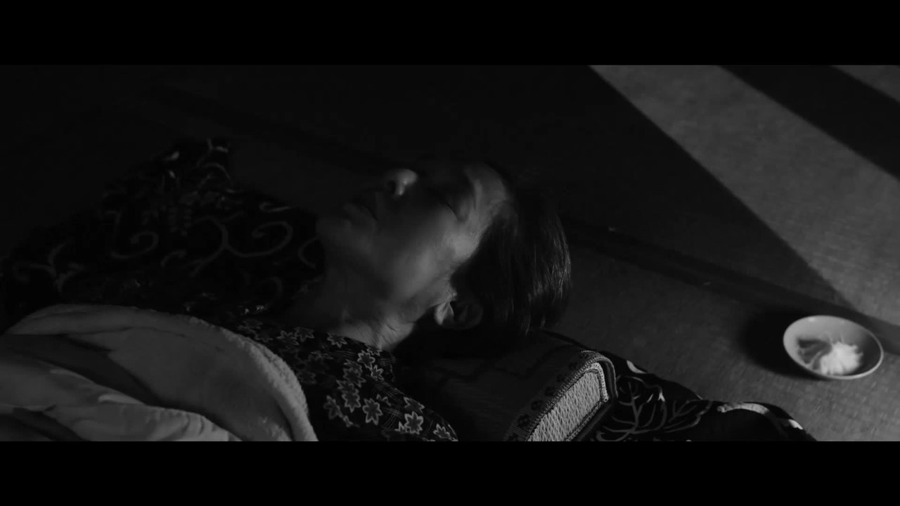 GruÌˆÃŸe aus Fukushima - Clip 06 (Deutsch) HD