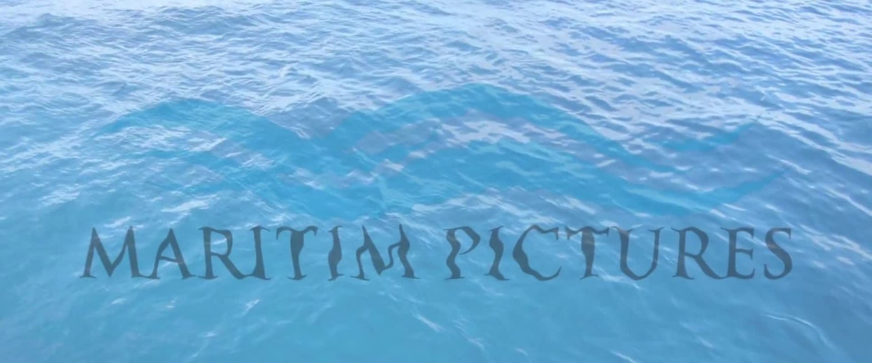 Projet M - Clip (English)