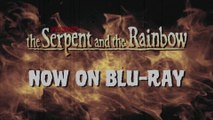 The Serpent and the Rainbow - Clip Buried in Blood (English) HD
