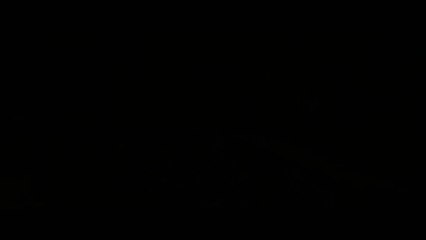 The Divergent Series Allegiant - Featurette Beyond the Wall (English) HD