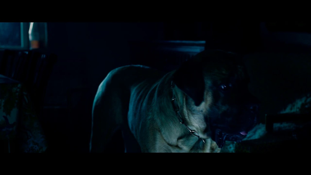 Rico, Oskar und der Diebstahlstein - Clip 07 Ein brenzliger Einbruch (Deutsch) HD