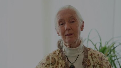 Hope For All - Clip 1 (Deutsch) HD