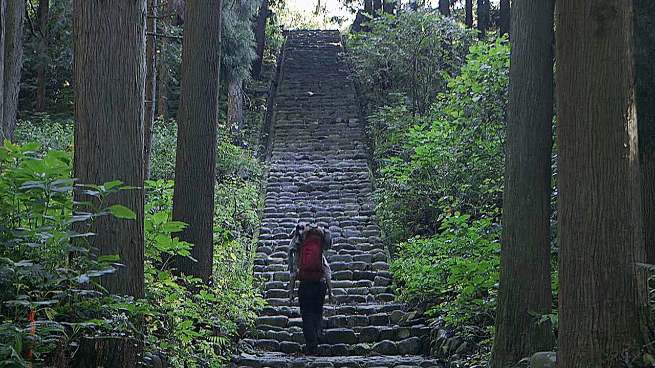 Zen for Nothing - Trailer (Deutsch) HD