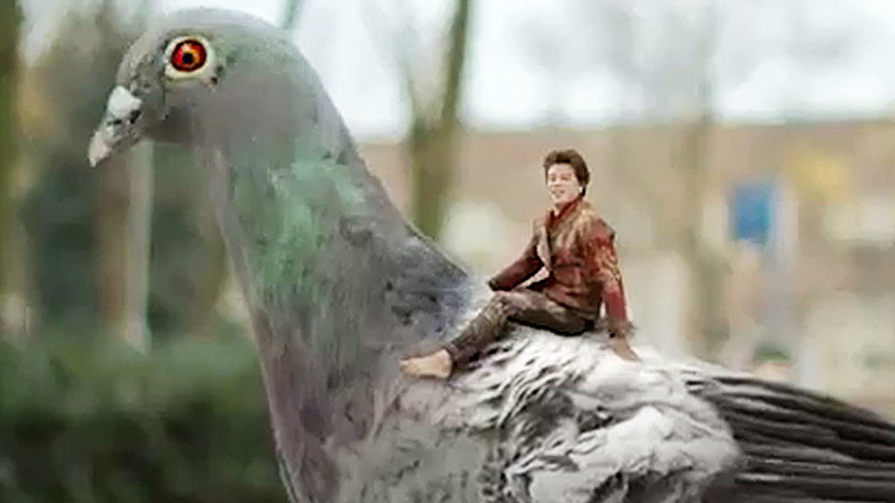 Der wunderbare Wiplala - Trailer (Deutsch)