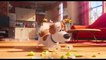 The Secret Life of Pets - Clip Max Tries To Frame Duke (English) HD