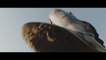 Ben-Hur - Featurette Chariot Race (English) HD