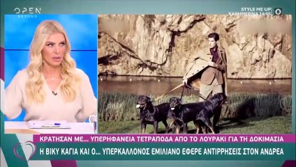 Κατερίνα Καινούργιου: Η επίθεση σκύλου, το νοσοκομείο και τα ράμματα