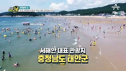 프로 서퍼들이 떴다! 충남 태안 만리포니아로 모이는 이들!