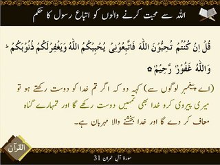 Allah Se Muhabbat Karny Waly | Surat Imran 31 | Ayat | HD