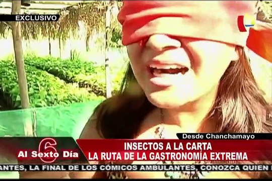 Insectos a la carta: La ruta de la gastronómica más extrema