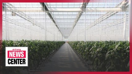 S. Korea’s indoor farming technology helps crop production in the Middle East