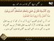 Amal Ka Zimmedar Khud  | Surat Younus 41 |  Ayat