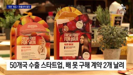 “웃돈 줘도 배 없어 수출 못해”…선박 대란 장기화 우려
