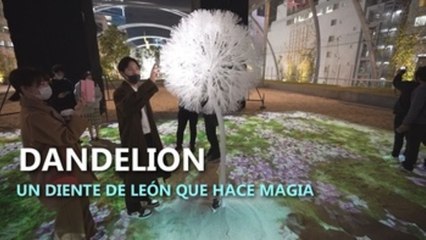 Un gigantesco diente de león hace la magia
