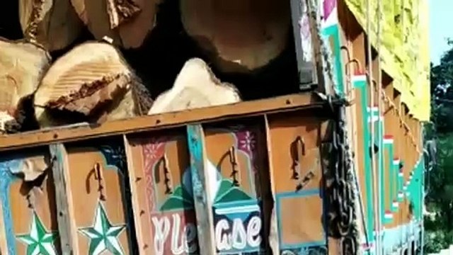 वन विभाग ने आगर-सुसनेर मार्ग पर लकड़ियों से भरा ट्रक पकड़ा, वन अधिनियम के तहत कार्यवाही जारी