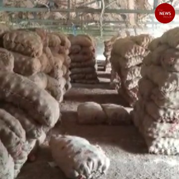 480 tonnes of Bellary onions seized from poultry farms in TN’s Perambalur