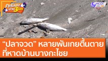 “ปลาจวด” หลายพัน เกยตื้นตายที่หาดบ้านบางกะไชย จ.จันทบุรี [11 พ.ย. 63] คุยโขมงบ่าย 3 โมง | 9 MCOT HD