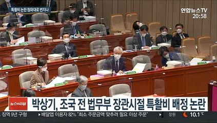 특활비 논란 확산…秋 "문제없다"·野 "靑도 따져봐야"