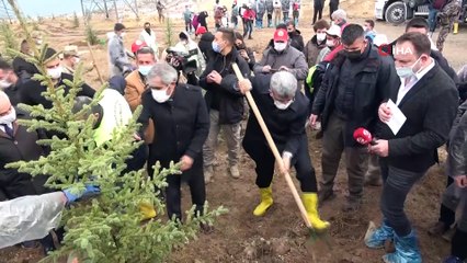 Van Valisi Bilmez: “Geçen sene dikilen ağaçların yüzde 80’i tuttu”