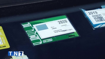 tn7-sabe-como-pegar-correctamene-el-marchamo-111120