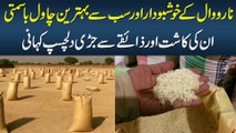 Narowal Ke Khushbudar Aur Behtareen Basmati Rice - Inki Kasht Kese Ki Jati Hai?